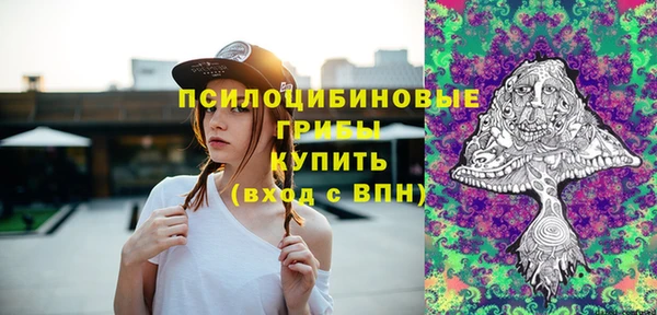 эйфоретик Алексин