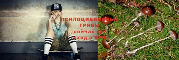 стафф Алзамай