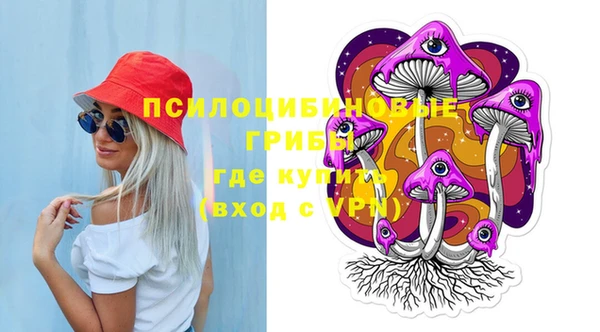 стафф Алзамай