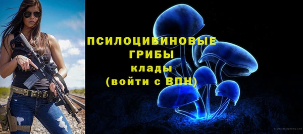 бошки Михайловск
