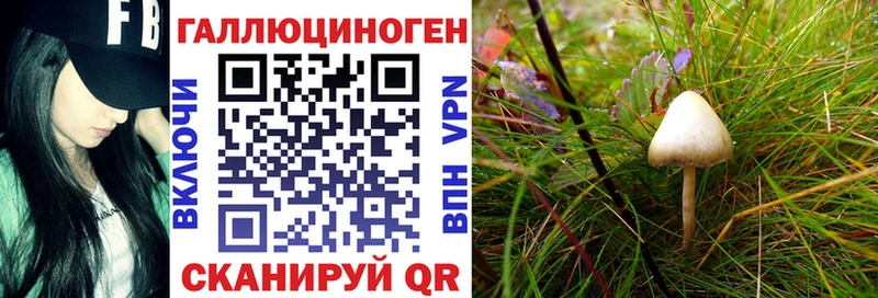 Галлюциногенные грибы MAGIC MUSHROOMS  Волгоград 